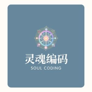 灵魂编码