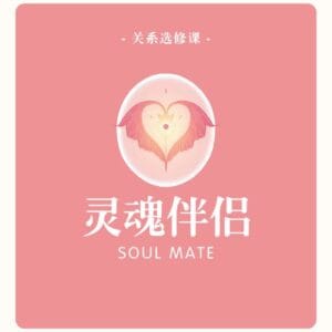 关系选修课 | 灵魂伴侣