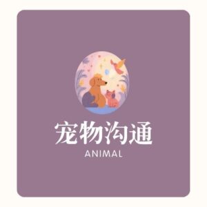 宠物沟通