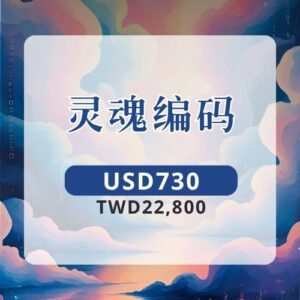 灵魂编码