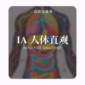 高阶选修课 | IA人体直观