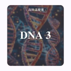 高阶选修课 | DNA 3